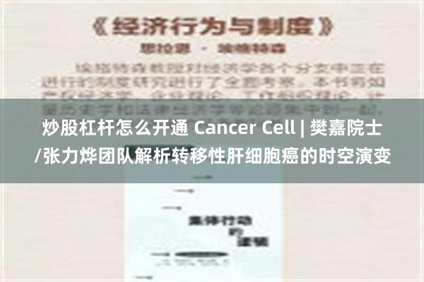 炒股杠杆怎么开通 Cancer Cell | 樊嘉院士/张力烨团队解析转移性肝细胞癌的时空演变