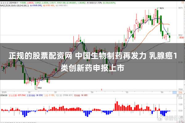 正规的股票配资网 中国生物制药再发力 乳腺癌1类创新药申报上市