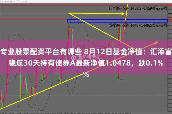 专业股票配资平台有哪些 8月12日基金净值：汇添富稳航30天持有债券A最新净值1.0478，跌0.1%