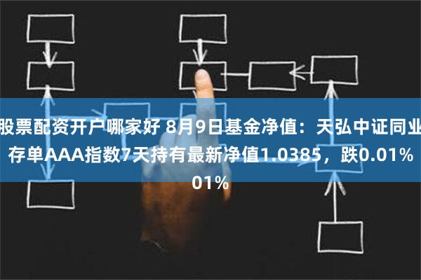 股票配资开户哪家好 8月9日基金净值：天弘中证同业存单AAA指数7天持有最新净值1.0385，跌0.01%