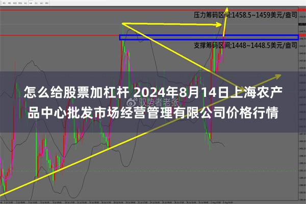 怎么给股票加杠杆 2024年8月14日上海农产品中心批发市场经营管理有限公司价格行情