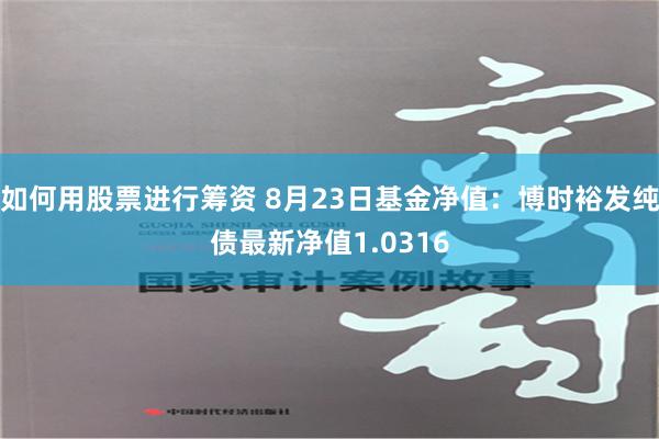 如何用股票进行筹资 8月23日基金净值：博时裕发纯债最新净值1.0316