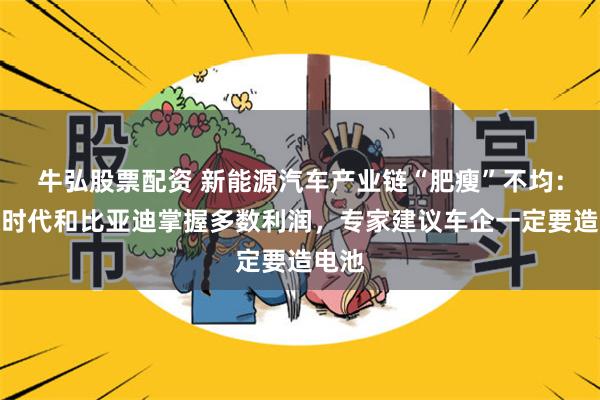 牛弘股票配资 新能源汽车产业链“肥瘦”不均：宁德时代和比亚迪掌握多数利润，专家建议车企一定要造电池