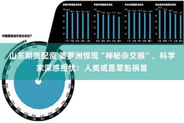 山东期货配资 婆罗洲惊现“神秘杂交猴”，科学家深感担忧：人类或是罪魁祸首