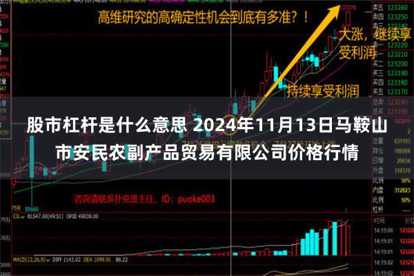 股市杠杆是什么意思 2024年11月13日马鞍山市安民农副产品贸易有限公司价格行情